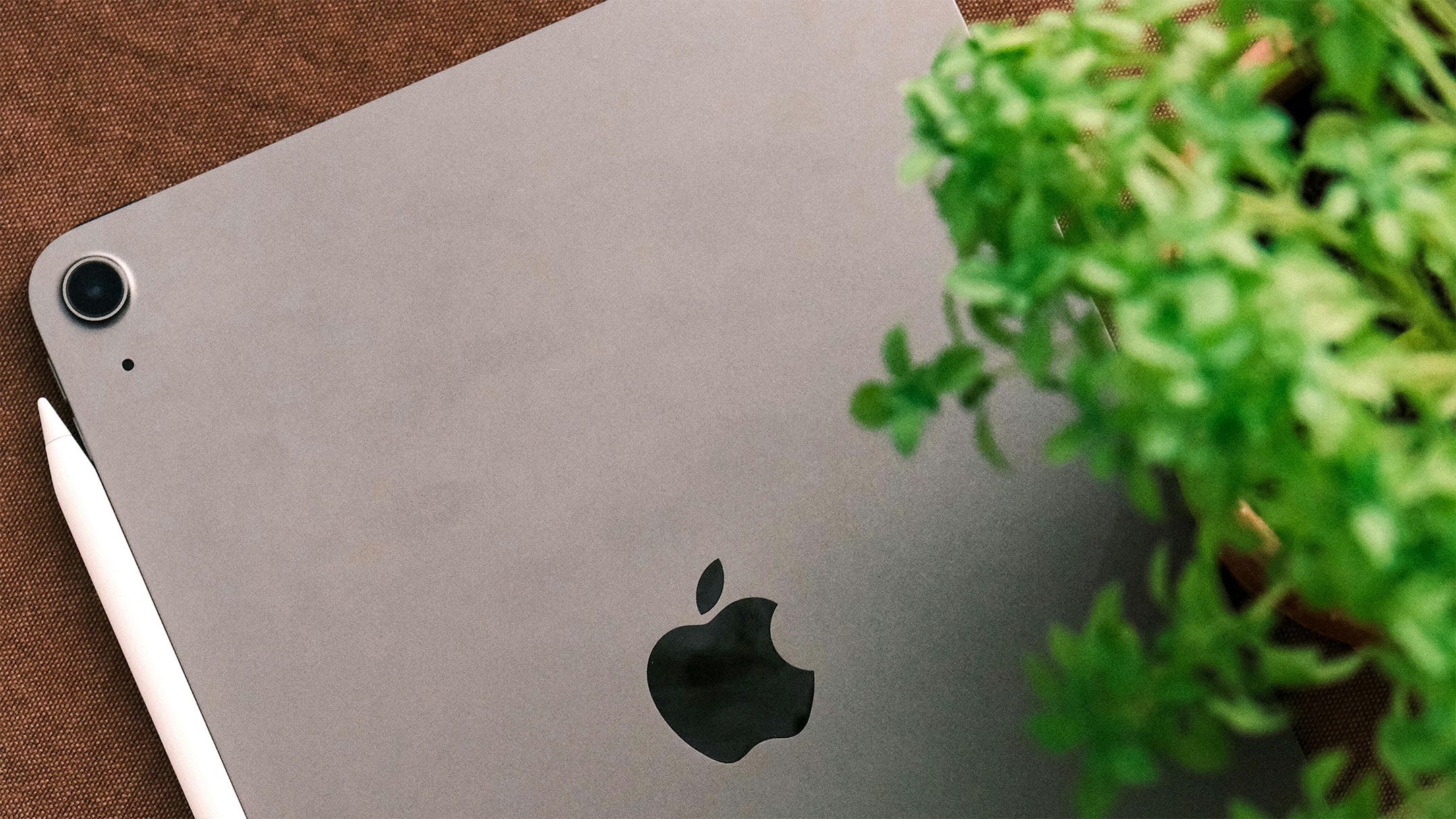 iPad onderhoud en levensduur verlengen: Expert tips van iPaddy